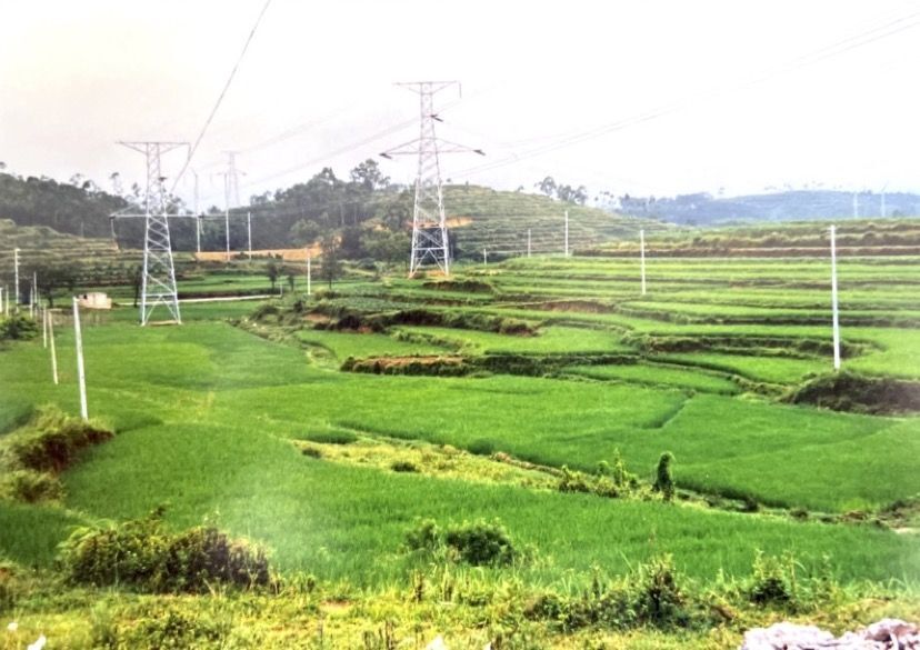 Power pole in a Chinese rice field in Foshan/Guangdong (photo: Marco Müller (p), August 1987)