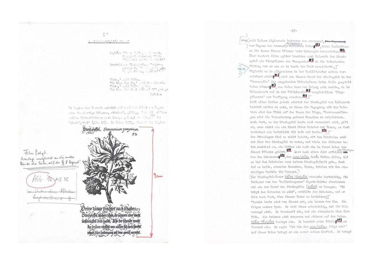 Textgestaltung: Ein Blick in das Typoskript der »Traumzeit« (Mainzer Verlagsarchiv an der Johannes Gutenberg-Universität Mainz, Universitätsbibliothek, Abteilung Archive und Sammlungen; mit freundlicher Erlaubnis von Hans Peter Duerr) Textgestaltung: Ein Blick in das Typoskript der »Traumzeit« (Mainzer Verlagsarchiv an der Johannes Gutenberg-Universität Mainz, Universitätsbibliothek, Abteilung Archive und Sammlungen; mit freundlicher Erlaubnis von Hans Peter Duerr)
