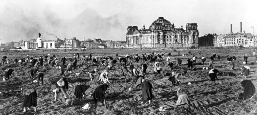 21. Oktober 1947: Menschen beim »Kartoffelstoppeln« auf den abgeernteten Feldern vor dem Reichstag in Berlin